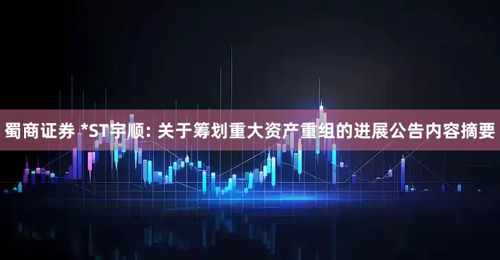 蜀商证券 *ST宇顺: 关于筹划重大资产重组的进展公告内容摘要