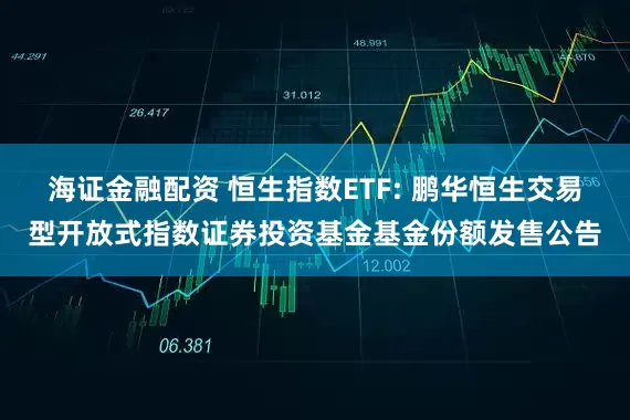 海证金融配资 恒生指数ETF: 鹏华恒生交易型开放式指数证券投资基金基金份额发售公告