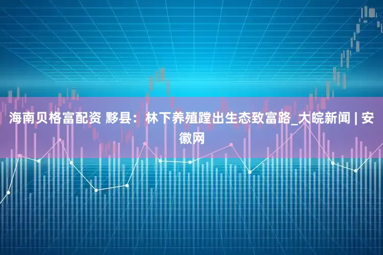 海南贝格富配资 黟县：林下养殖蹚出生态致富路_大皖新闻 | 安徽网