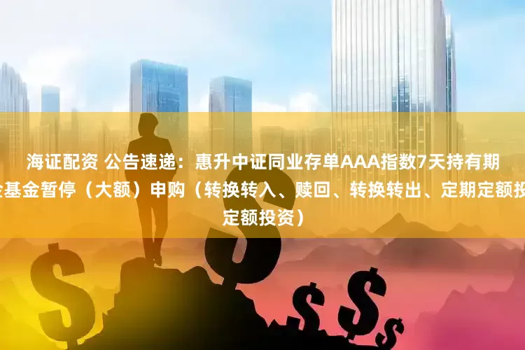 海证配资 公告速递：惠升中证同业存单AAA指数7天持有期基金基金暂停（大额）申购（转换转入、赎回、转换转出、定期定额投资）